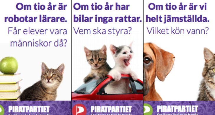 Kampanj, Piratpartiet, Riksdagsvalet 2014, Torbjörn Jerlerup, Anna Troberg, Katt